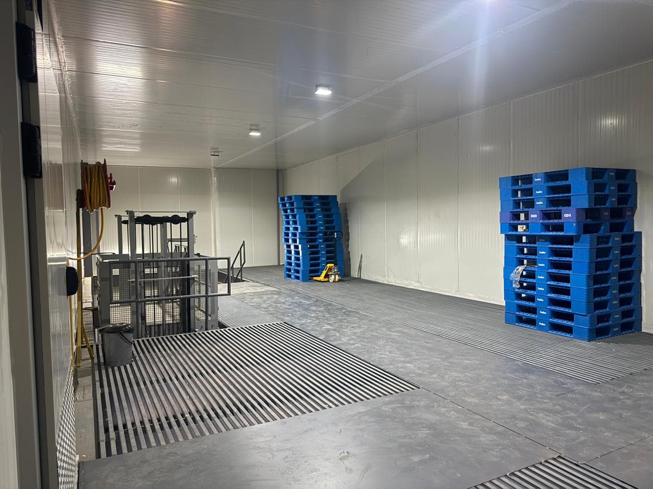 Close-up of frozen berries with ice crystals.